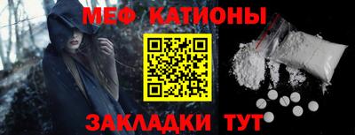 шишки Дубна
