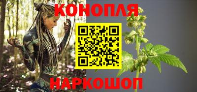 шишки Дубна