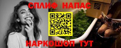 шишки Дубна